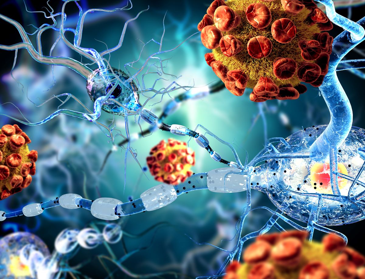 nervea-virus-inflammation