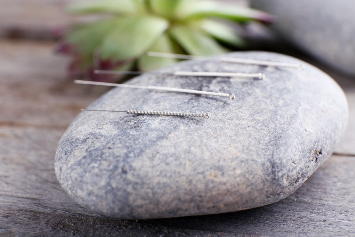 needles on gray stone